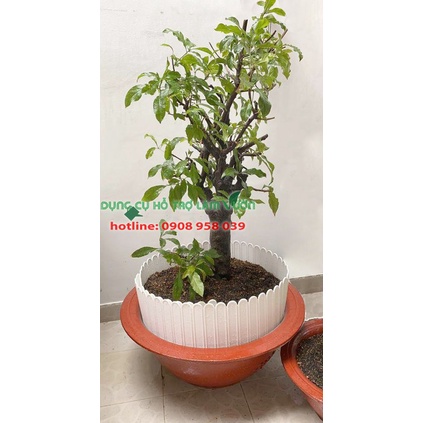 Hàng rào nhựa cao15 cm dài 3 met của Nhật phân luống - viền vườn trồng rau màu trắng