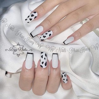 nail box thiết kế