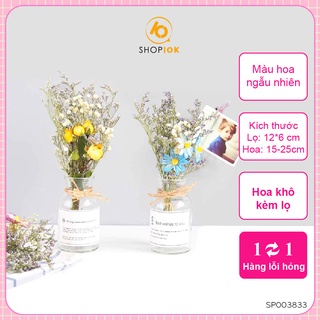 Lọ hoa khô trang trí mẫu đẹp hàng có sẵn - SP003833