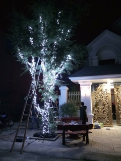 Led quấn cây, led đúc