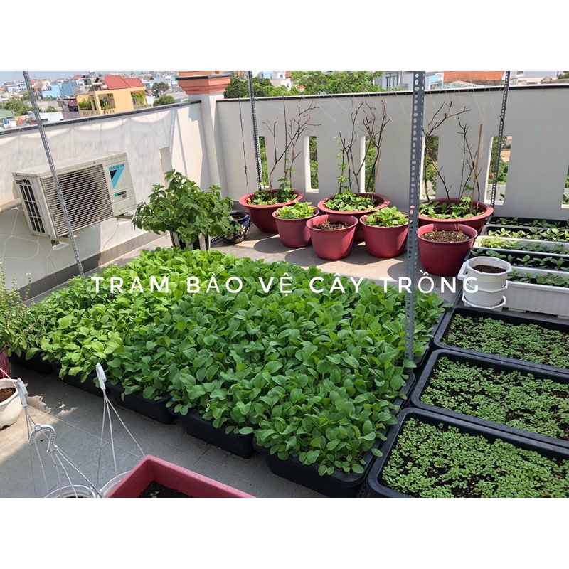 Phân Trùn Quế nguyên chất  Lavamix gói 2kg