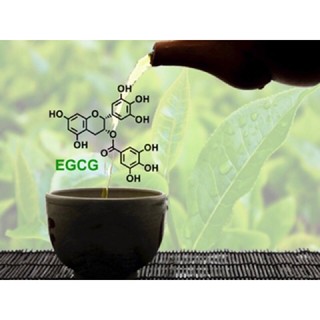 Trà Xanh Không Độ 455ml/chai (Lốc 6 chai)