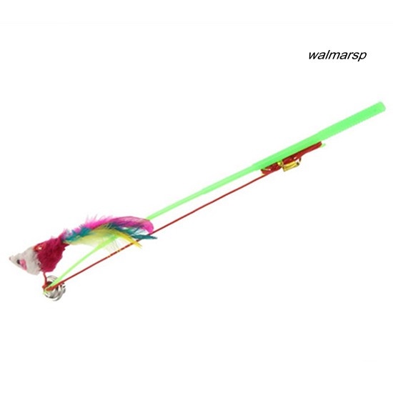 Gậy lò xo gắn lông vũ cho mèo