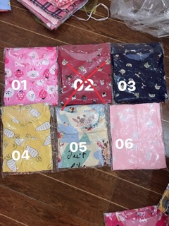 Bộ Lanh Bầu Ngố 01
