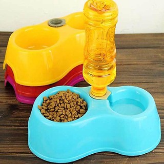 🐶🐱 BÁT ĐÔI CẤP NƯỚC TỰ ĐỘNG CHO CHÓ MÈO