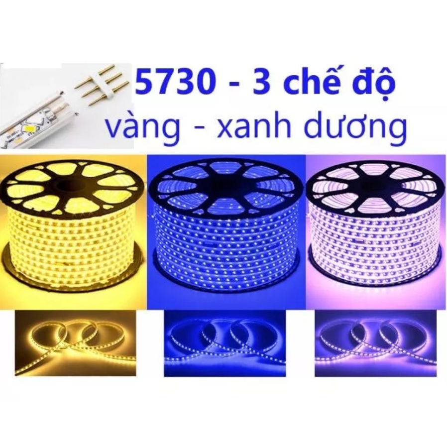 Dây LED trang trí, hắt trần, quấn cây.....vv 2 hàng,3 hàng led