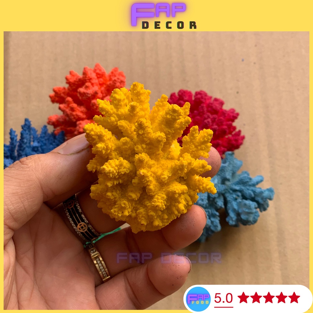 BÔNG RẠN SAN HÔ MINI PHONG THỦY PHỐI MÀU DECOR NHÀ CỬA, SAN HÔ NHIỀU MÀU TRANG TRÍ THỦY SINH