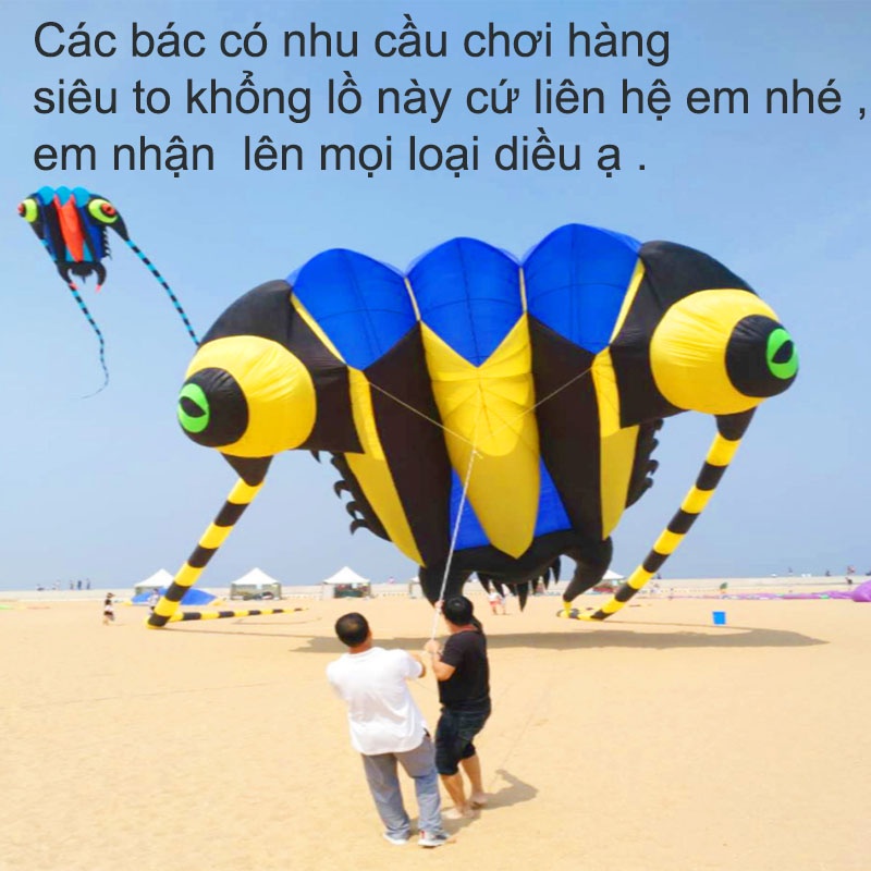 Diều Đầu Dế - Diều Khí Động Học Đầu Dế 7m2