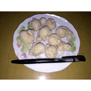 Tam Thất Nam 500 gam