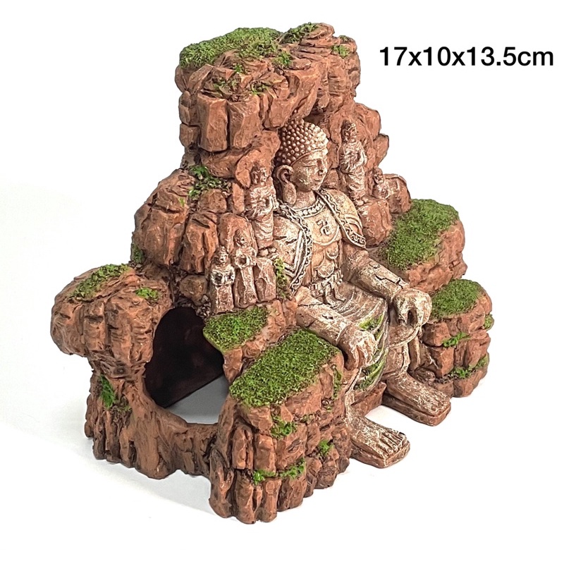 Trang Trí Hồ Cá , Thuỷ Sinh - Phật Lạc Sơn