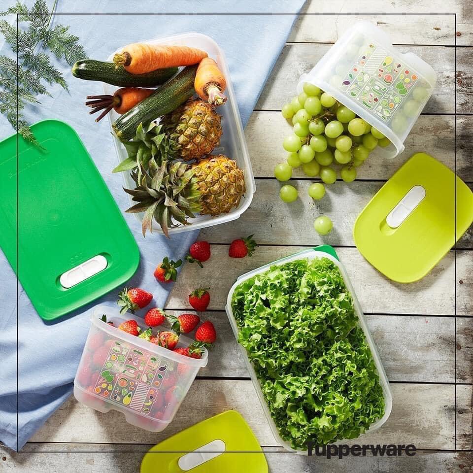 Bộ hộp Ventsmart nữ hoàng trữ mát có nút hô hấp cao cấp set 4  Tupperware