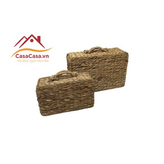 Vali đan lục bình tự nhiên