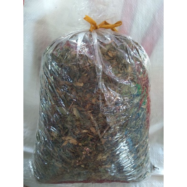 Lá đinh lăng phơi nắng khô 500g 35k l miền tây shop