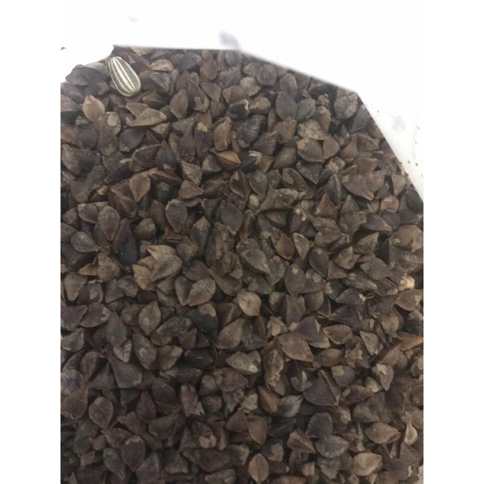 🌟Hạt Giống Hoa Tam Giác Mạch🌟 Giống Nhiều Màu Cực Kỳ Đẹp Gói 100 Hạt [ GOOD SEED ]