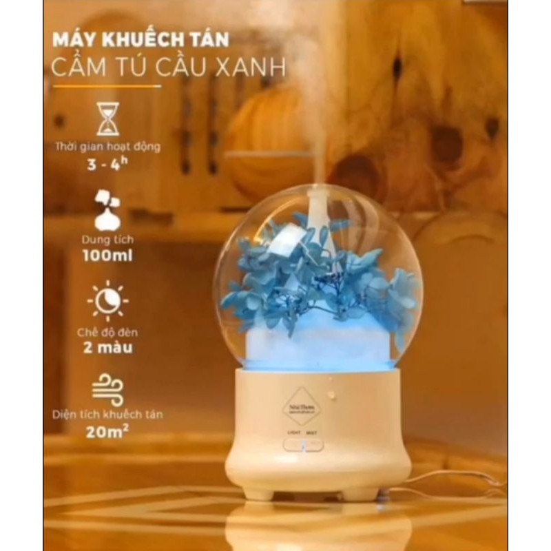 Máy Xông Tinh Dầu Cẩm Tú Cầu Giá Rẻ