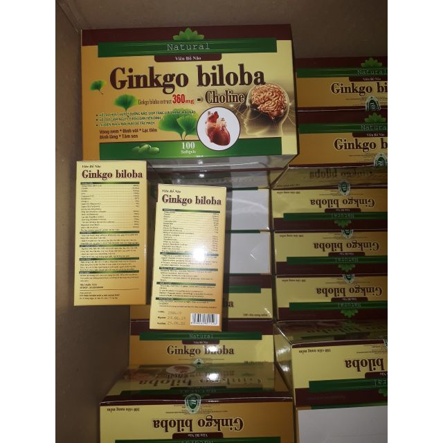 Ginkgo biloba 360mg chonline Q10 hộp 100v