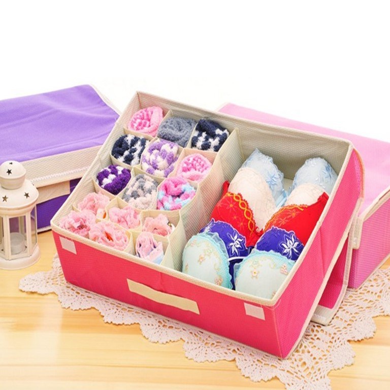Hộp Đựng Đồ Lót 16 Ngăn MINISHOP HA08