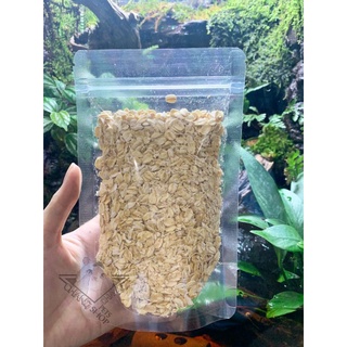 100gr yến mạch dinh dưỡng cho hamster, sóc, thỏ, bọ