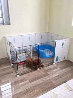 Chuồng chó mèo