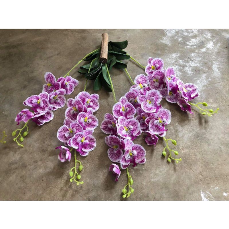 Giò Lan Hồ Điệp_Hoa treo tường trang trí nhà cửa