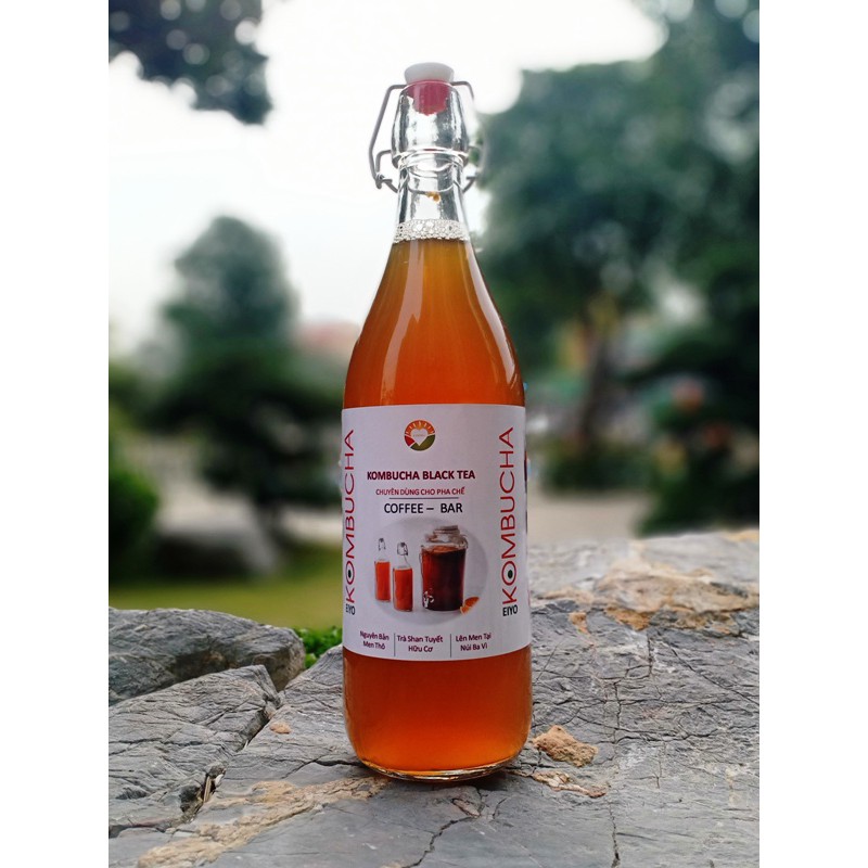 Trà KOMBUCHA BLACK TEA - Nguyên Chất Thô (chuyên dùng cho pha chế tại nhà & quan cà phê, quán bar, trà chanh, trà sữa)