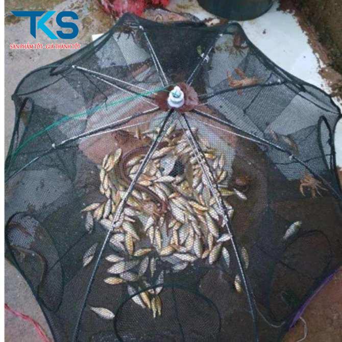 Lưới bắt cá bát quái 8 lỗ, lồng bát quái bắt cá, tôm, cua, trạch