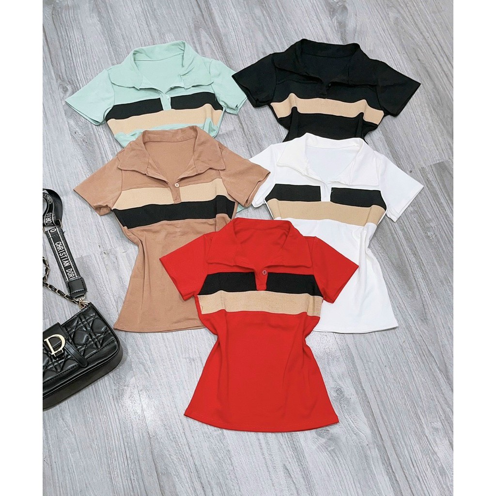 Áo kiểu polo cổ bẻ phối sọc giữa 2 màu cực xinh , chất thun bozip dày dặn ( ảnh thật )