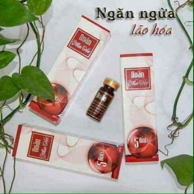 Serum tế bào gốc noãn thực vật