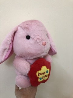Thỏ cute đáng yêu (ảnh thật)