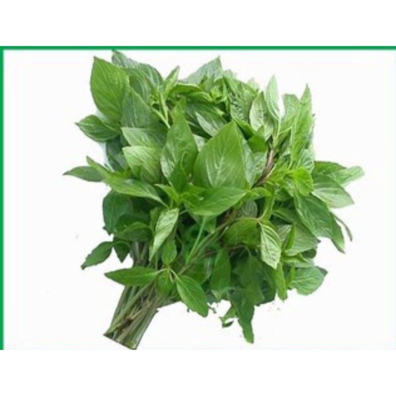 RAU HÚNG QUẾ TƯƠI 200g