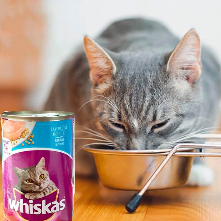 Pate cho mèo trưởng thành WhisKas, lon 400g - Jpet Shop