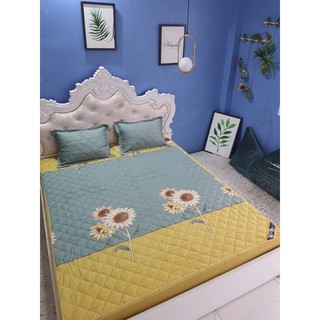 Bộ ga gối Chun trần poly cotton Zarahome