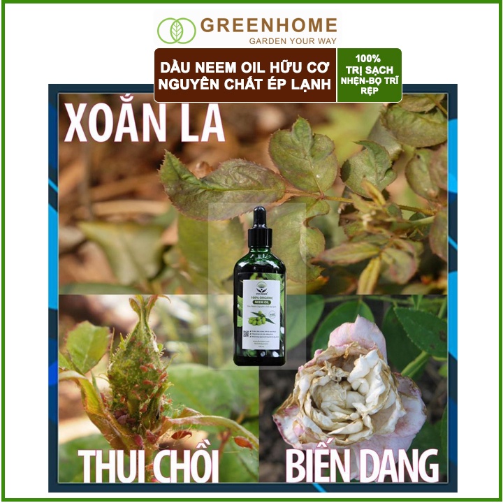 Dầu Neem oil, chai 50ml, hữu cơ phòng trị sâu bệnh hoa hồng, phong lan, cây cảnh, nguyên chất ép lạnh |Greenhome