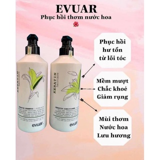 Dầu gội cặp