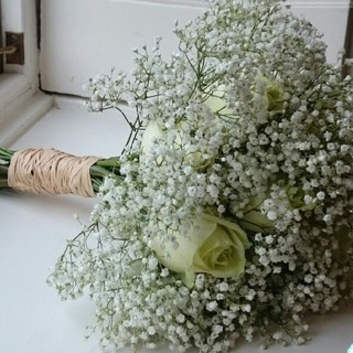 50h Hạt Giống Hoa Baby Breath Lâu Năm Bông Nhỏ