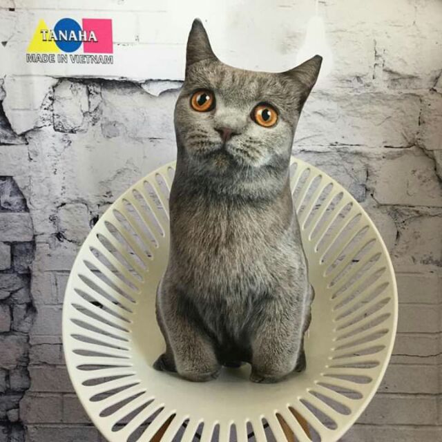 Gối ôm 3d mèo 60cm