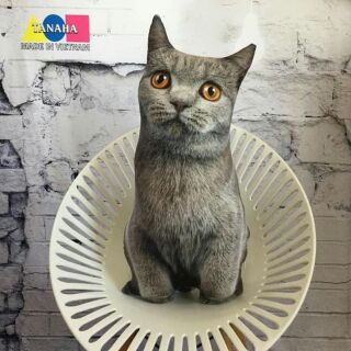 Gối ôm 3d mèo 60cm