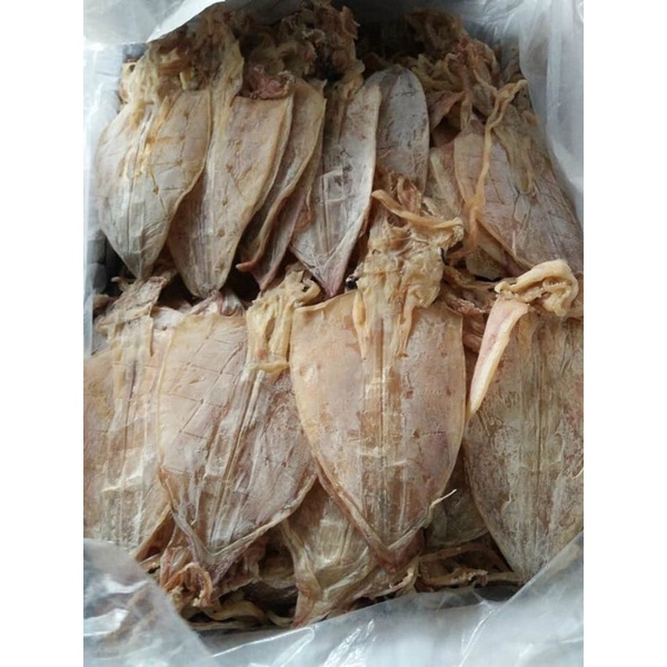 🐙🦑1 con KHÔ MỰC CÂU TẠI CẢNG SA Kì - QUẢNG NGÃI.