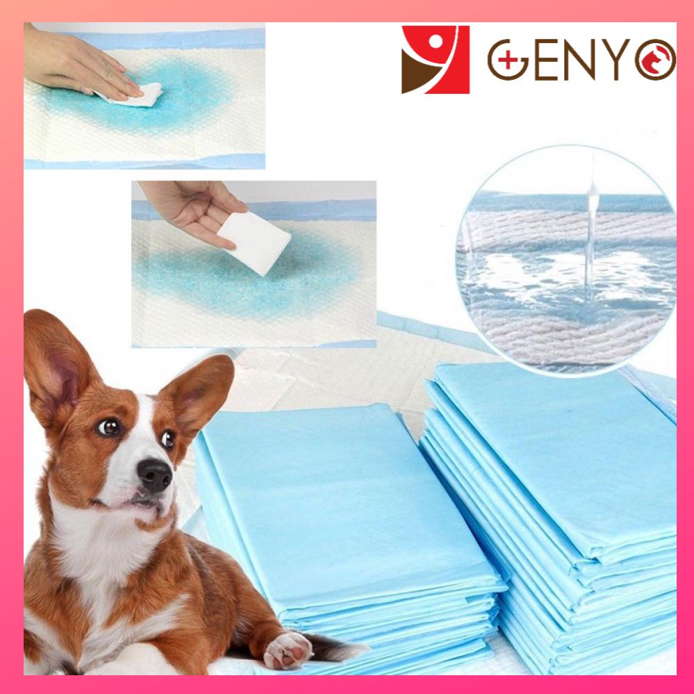 10 Miếng Tã lót vệ sinh cho thú cưng Genyo pet carre