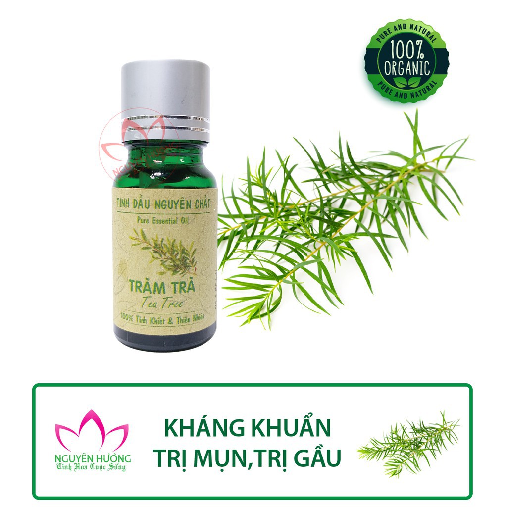 Tinh dầu tràm trà tea tree oil - Nguyên chất xông mặt, chấm mụn hiệu quả