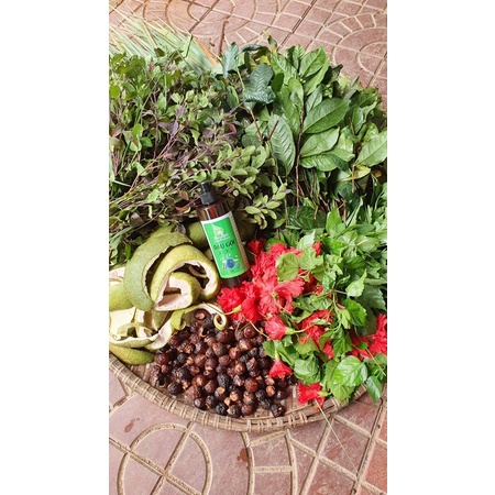 Dầu gội thảo mộc bồ kết Dương Minh 100% thành phần organic nấu thủ công dầu gội giảm rụng chăm sóc tóc phục hồi tóc
