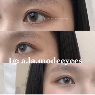 Lens xám nâu k vân LISA