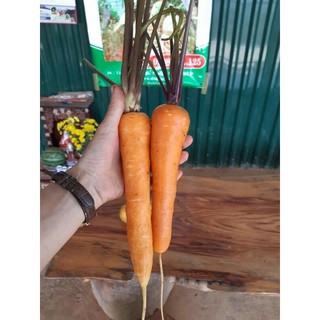 3 kg Cà rốt Đà Lạt