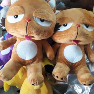 mèo Dinga 60cm