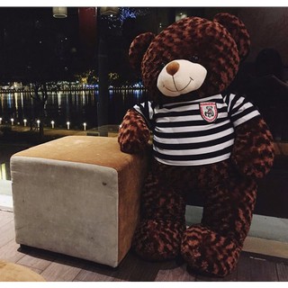 GẤU BÔNG TEDDY 1M-1M6 GIÁ RẺ