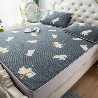 Chiếu Điều Hòa 3D Loại 1 Cao Cấp - Tặng Kèm 2 Vỏ Gối