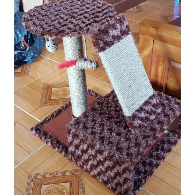 Đồ chơi cào móng có chống nóng cho mèo