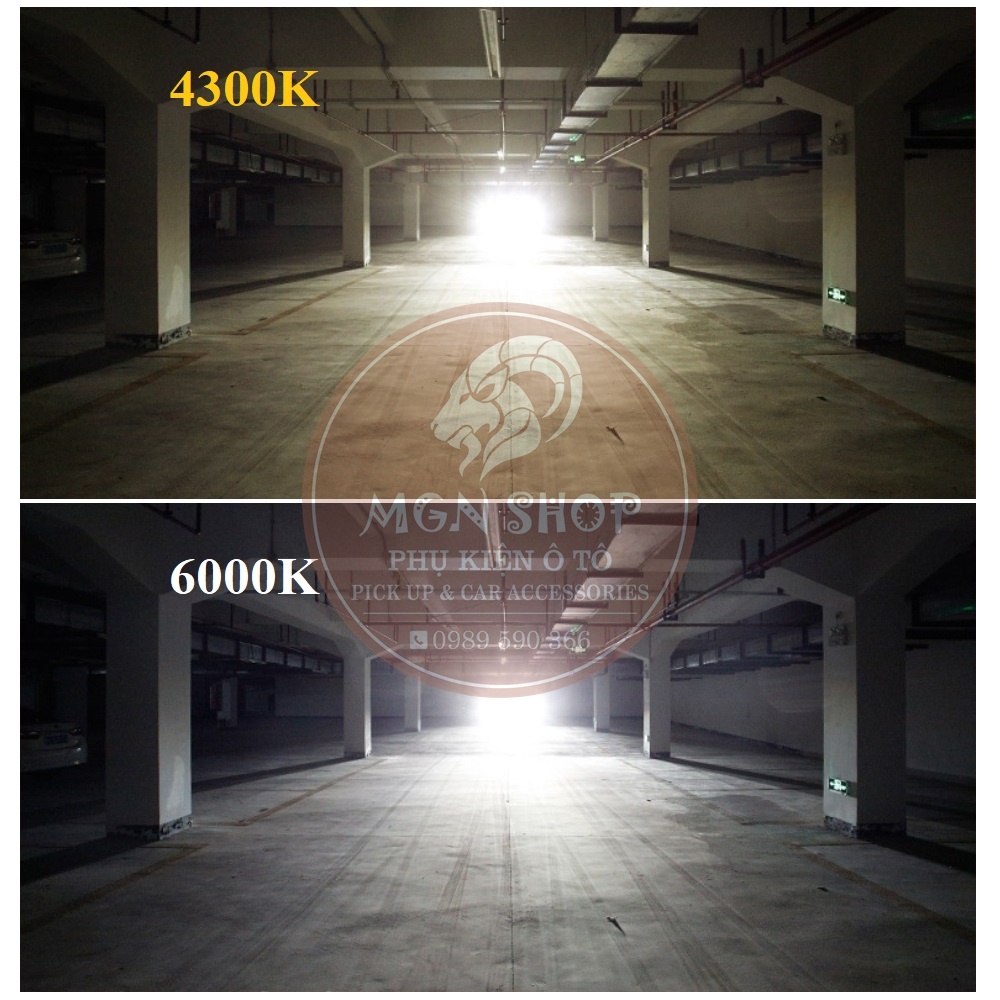 [Xenon Super Vision HID] [4300K / 6000K] [55W] [01 bóng] dành cho ô tô