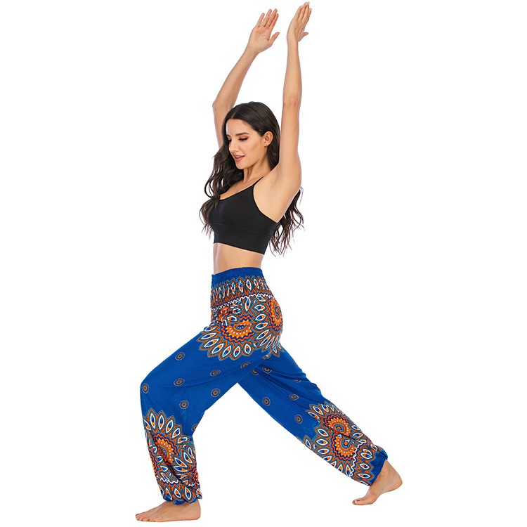 Baalsstock Set 2 Quần alibaba - yoga - múa bụng LT1162