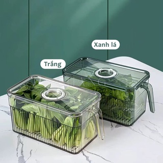 [ FREE SHIP ] Hộp Nhựa Đựng Thực Phẩm, Hộp Bảo Quản Thực Phẩm Tủ Lạnh Trong Suốt Có Khay Lót Đáy Và Tay Cầm Tiện Lợi